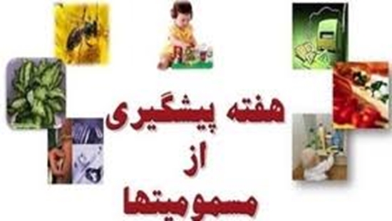 بيمارستان علي بن ابيطالب(ع) سربيشه